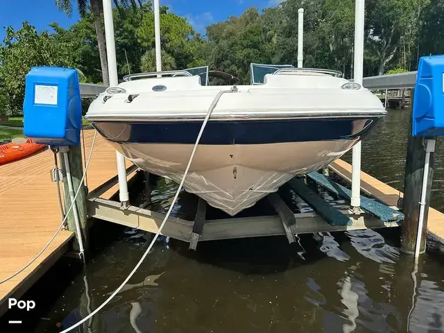 Sea Ray 240 Sundeck Outboard