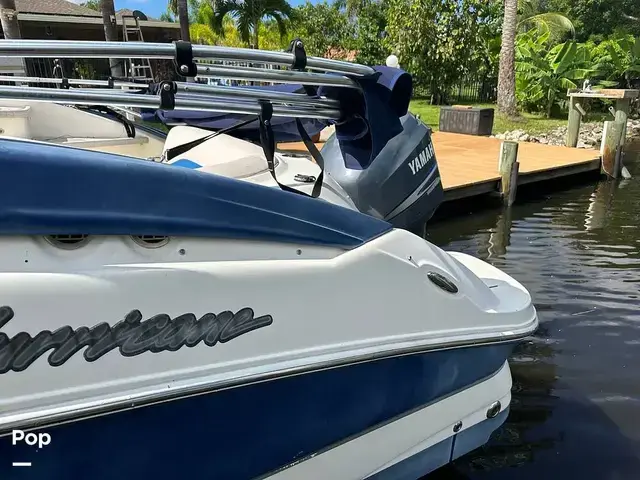 Sea Ray 240 Sundeck Outboard