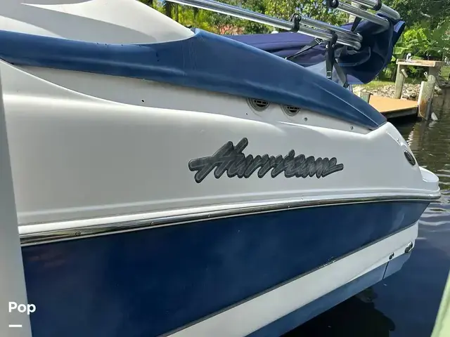 Sea Ray 240 Sundeck Outboard