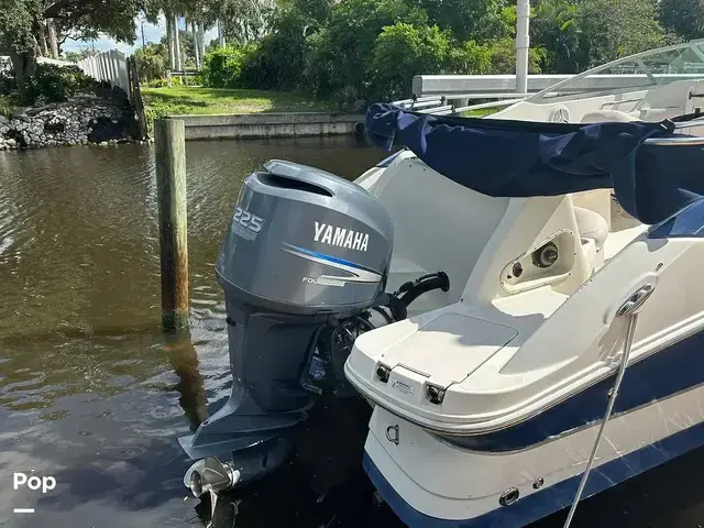 Sea Ray 240 Sundeck Outboard