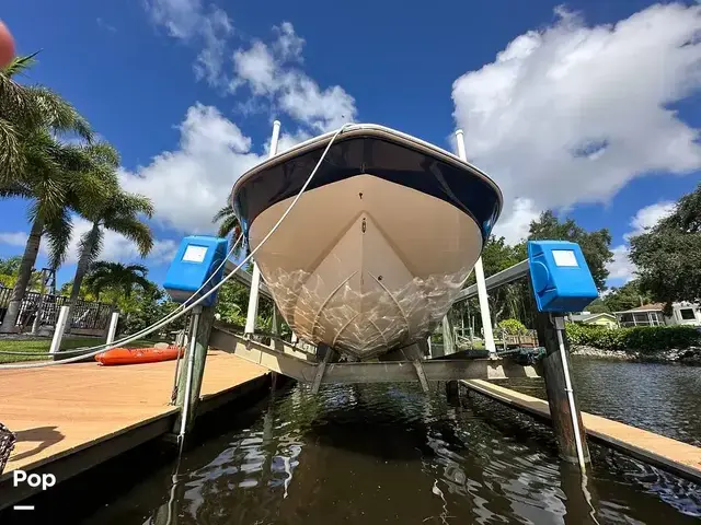 Sea Ray 240 Sundeck Outboard