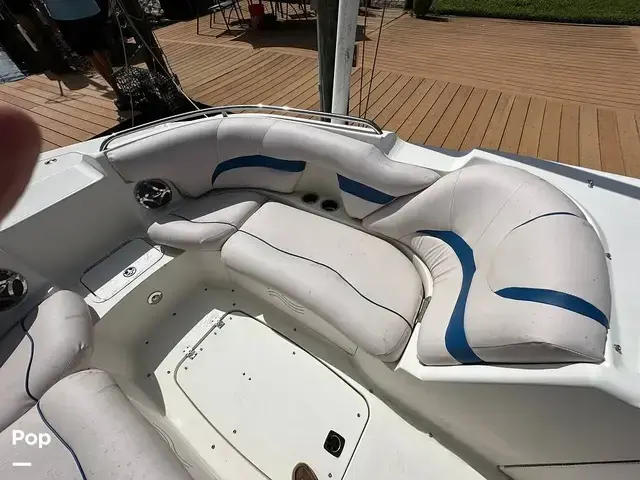 Sea Ray 240 Sundeck Outboard