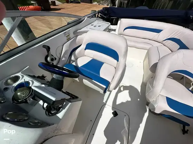 Sea Ray 240 Sundeck Outboard