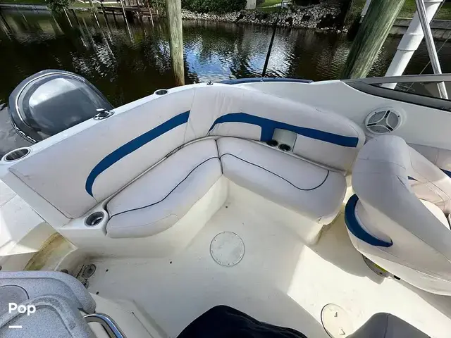 Sea Ray 240 Sundeck Outboard