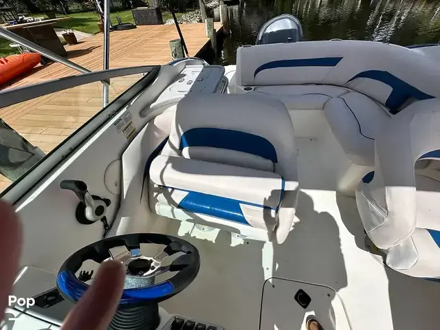 Sea Ray 240 Sundeck Outboard