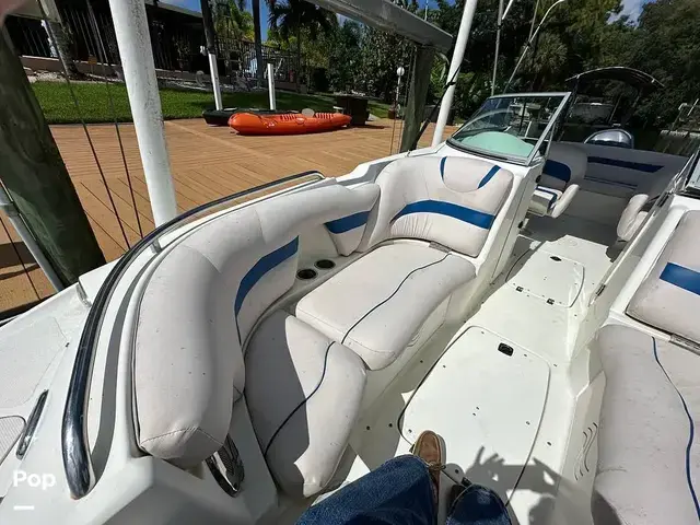 Sea Ray 240 Sundeck Outboard