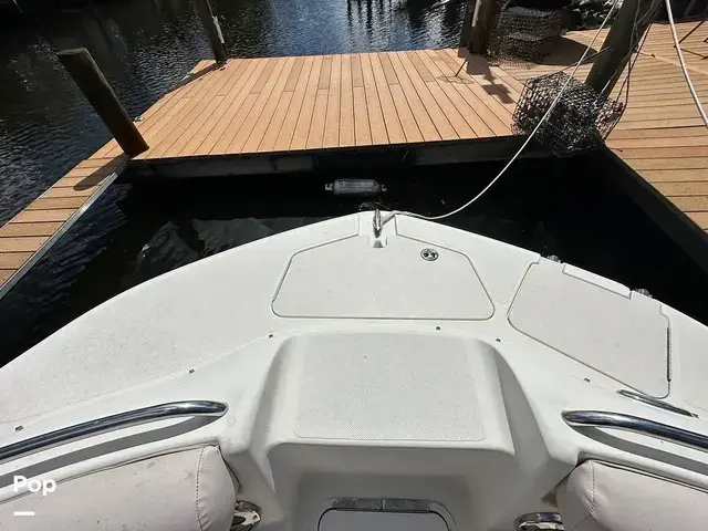 Sea Ray 240 Sundeck Outboard