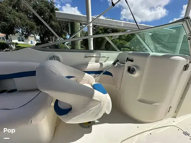 Sea Ray 240 Sundeck Outboard