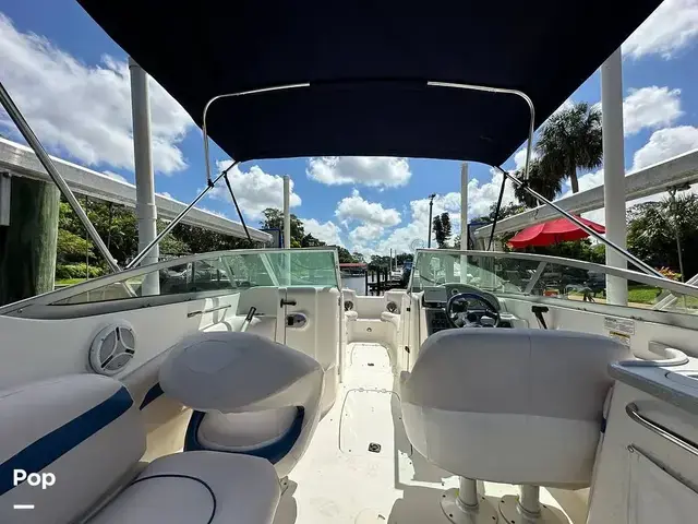 Sea Ray 240 Sundeck Outboard