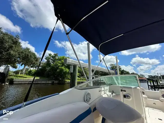 Sea Ray 240 Sundeck Outboard