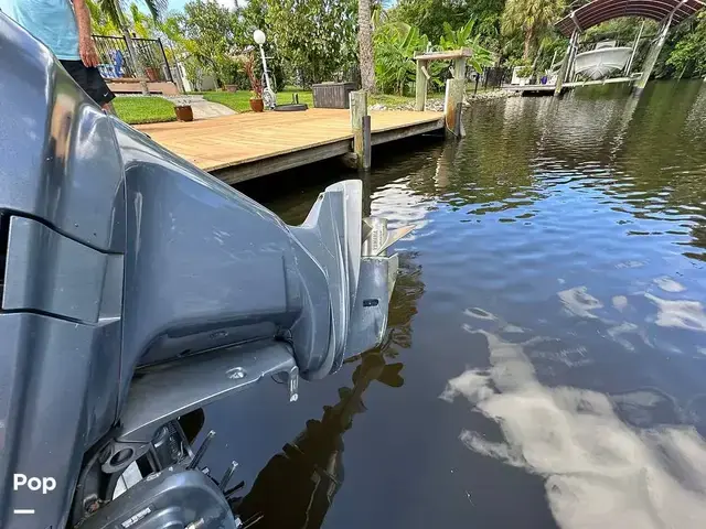 Sea Ray 240 Sundeck Outboard