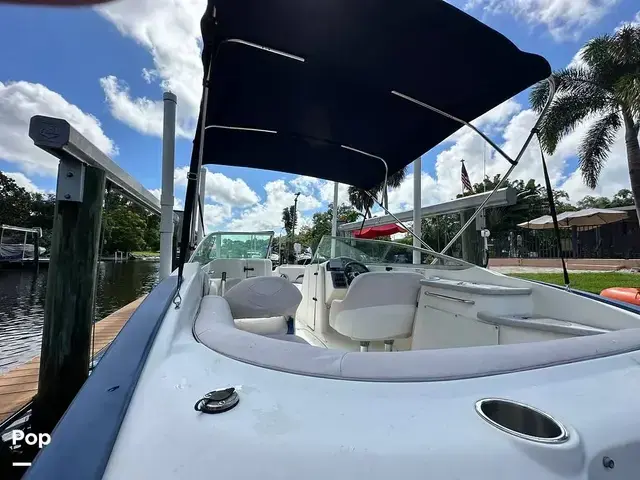 Sea Ray 240 Sundeck Outboard