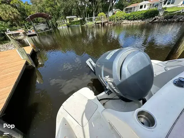 Sea Ray 240 Sundeck Outboard