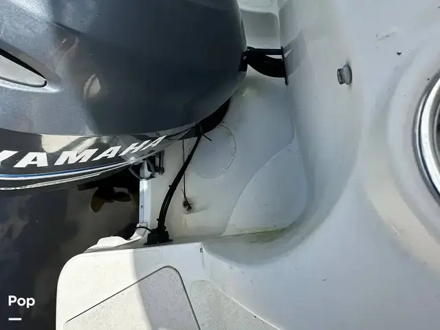 Sea Ray 240 Sundeck Outboard