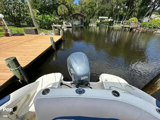 Sea Ray 240 Sundeck Outboard