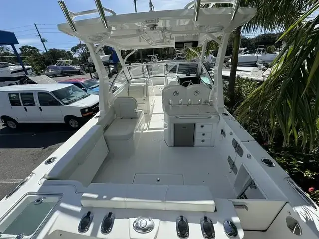 Edgewater boats 262 CX