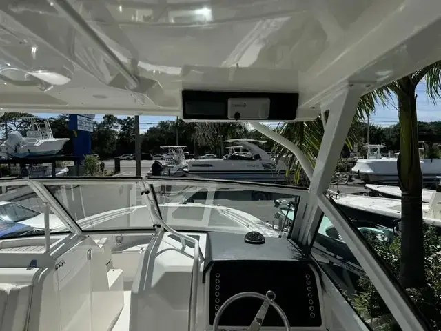 Edgewater boats 262 CX