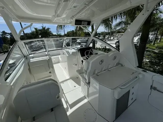 Edgewater boats 262 CX