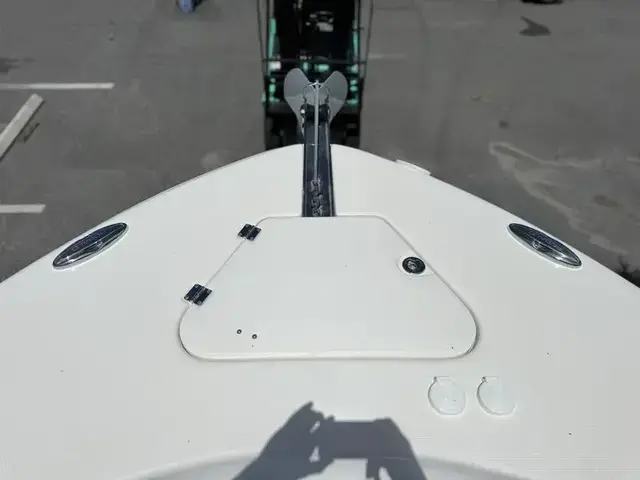 Robalo 300 Center Console