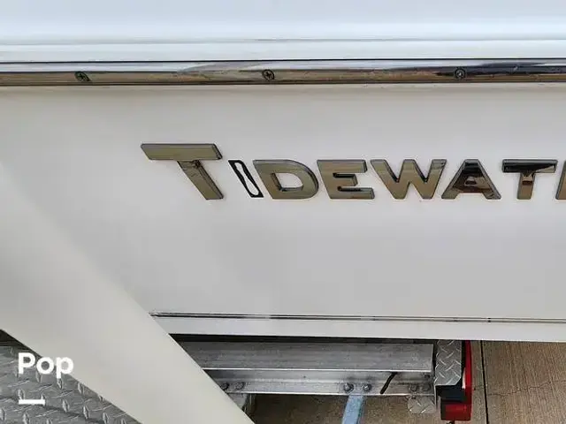 Tidewater Boats 1900 Bay Max