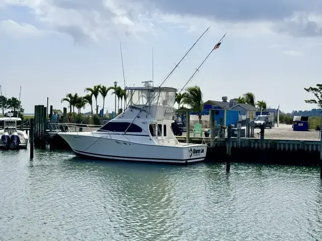 Luhrs 350 Tournament