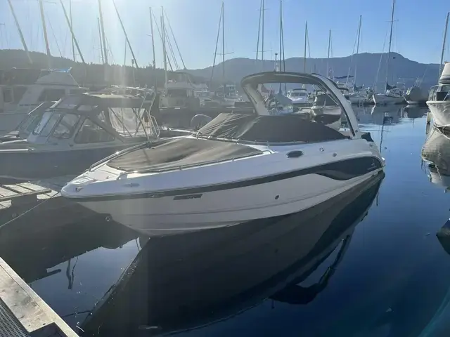 Chaparral 256 Ssi