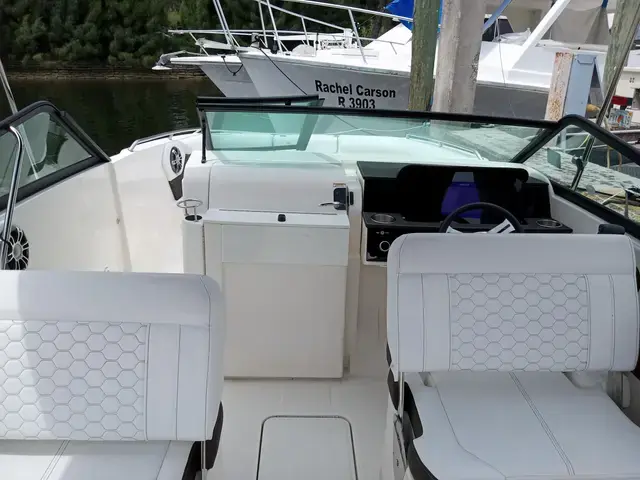 Sea Ray 250 Sdx