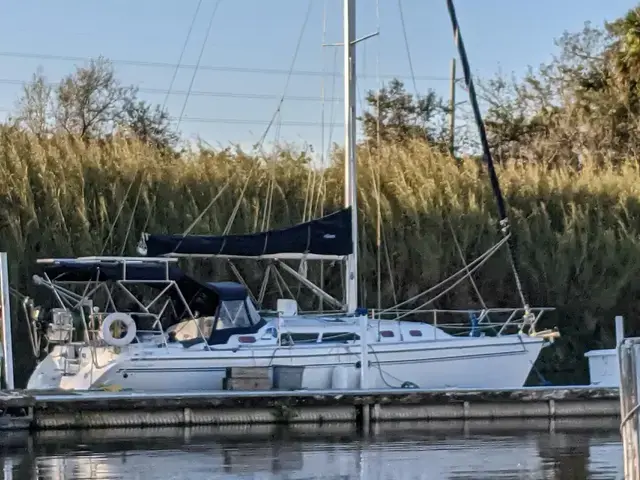 Catalina 350