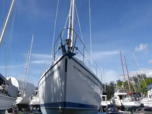 Catalina 350