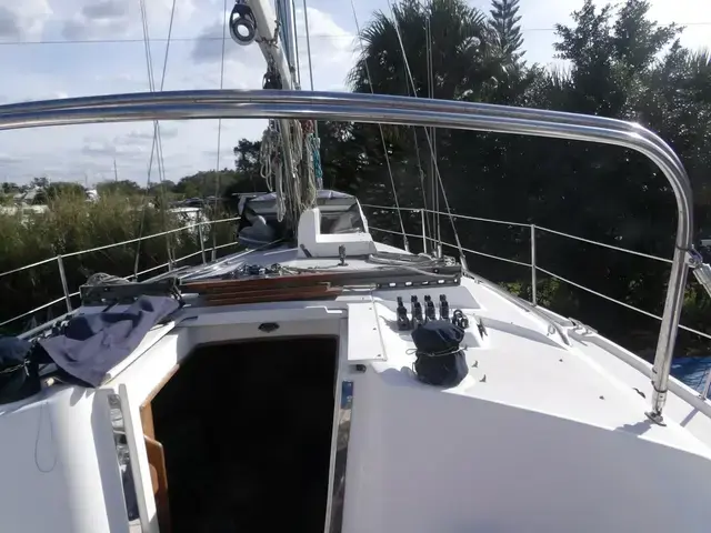 Catalina 350