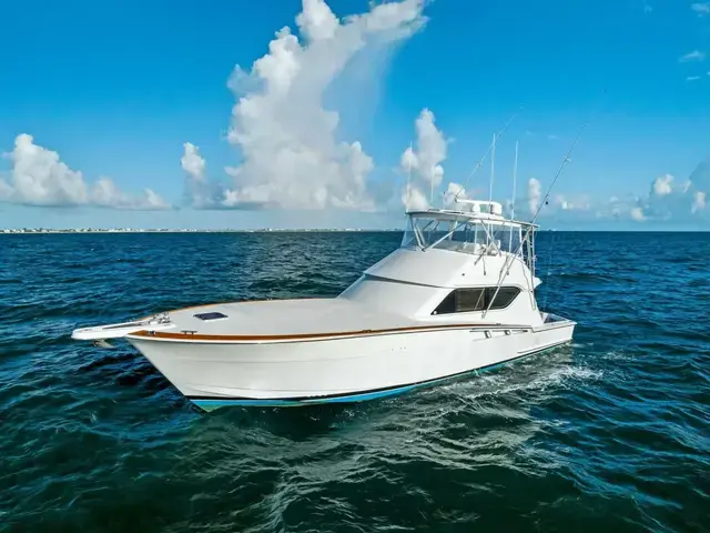 Hatteras Convertible