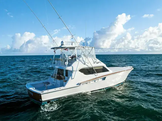 Hatteras Convertible