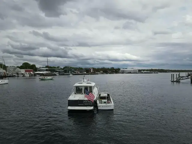 Palmer Marine Runabout