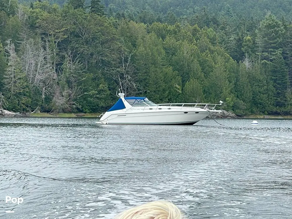 1994 Sea Ray 370 express cruiser