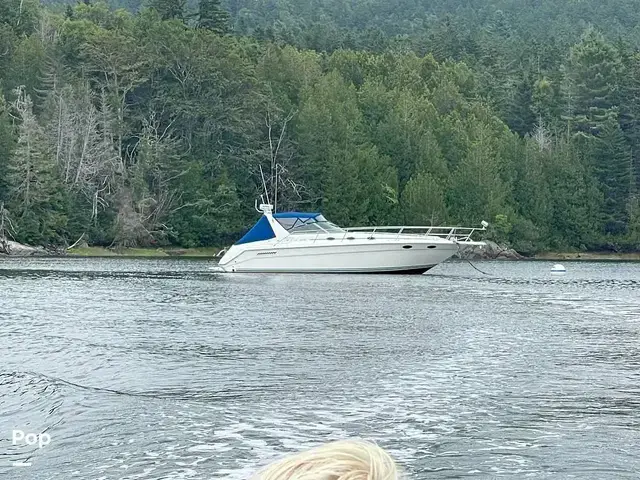 Sea Ray 370 Express Cruiser