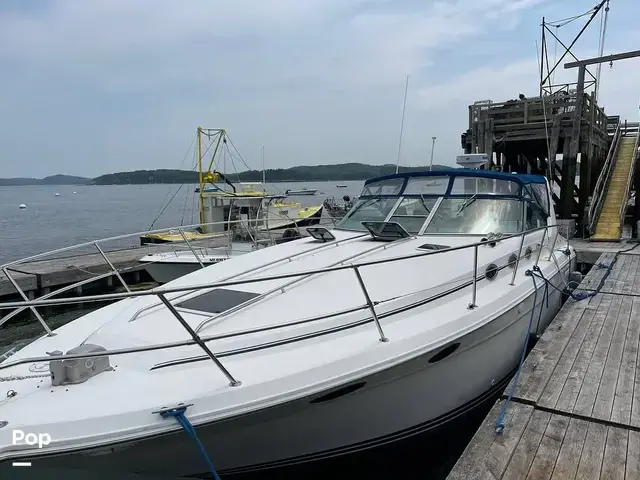 Sea Ray 370 Express Cruiser