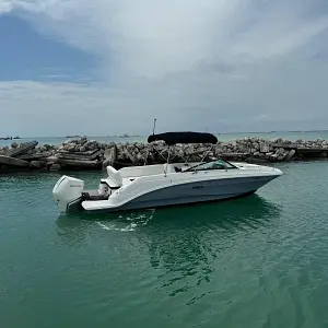 2022 Sea Ray SDX 250 OB