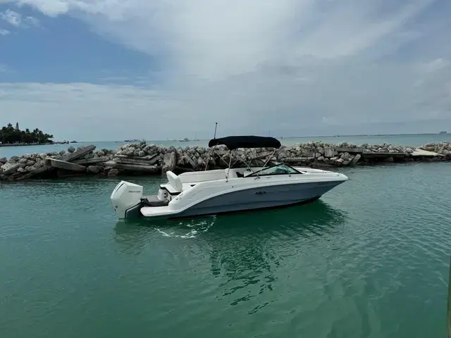 Sea Ray 250 Sdx