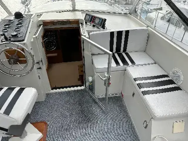 Broom 35 European