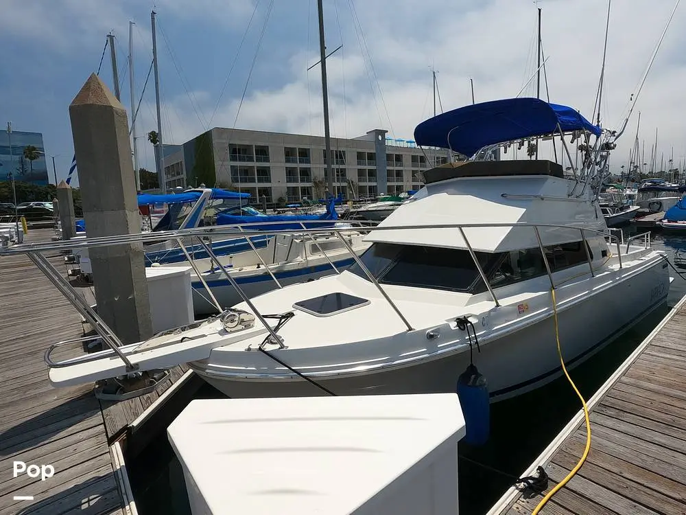 1994 Skipjack flybridge 262