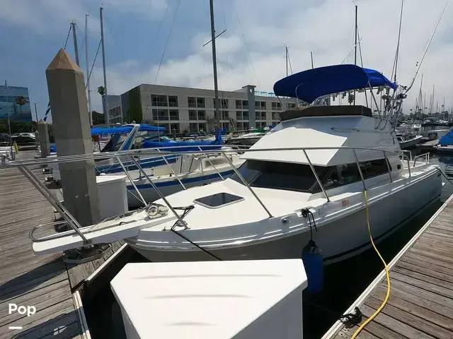 Skipjack Boats Flybridge 262