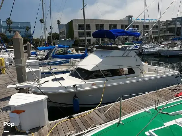 Skipjack Boats Flybridge 262