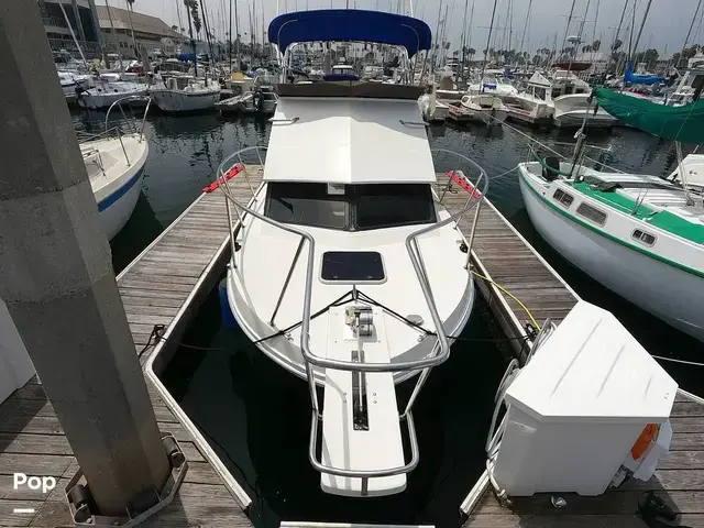 Skipjack Boats Flybridge 262