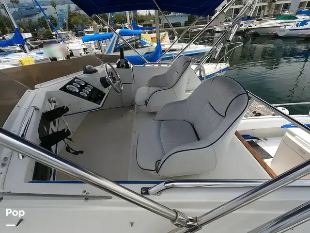 Skipjack Boats Flybridge 262