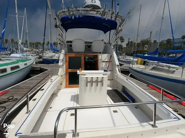 Skipjack Boats Flybridge 262