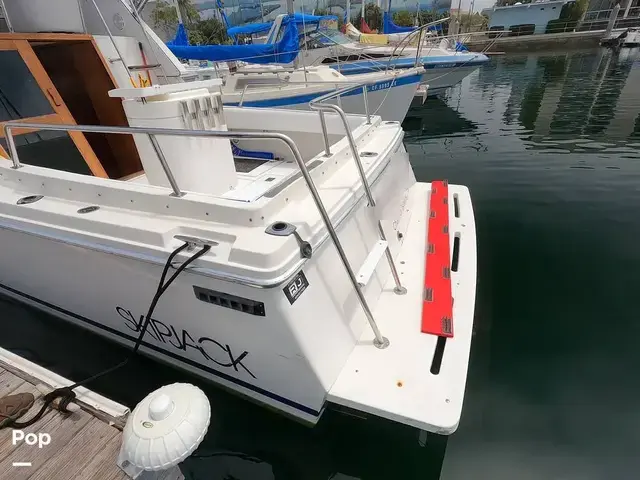 Skipjack Boats Flybridge 262