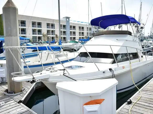 Skipjack Boats Flybridge 262