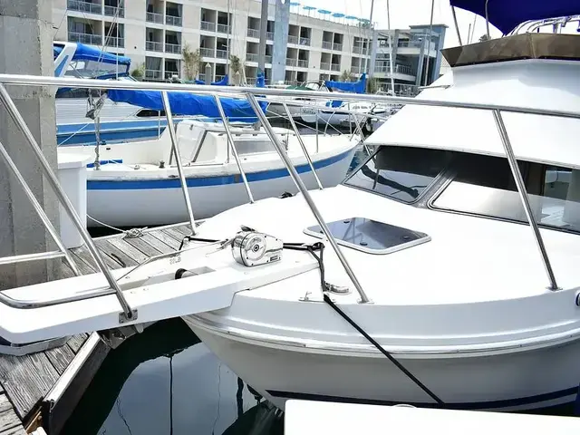 Skipjack Boats Flybridge 262