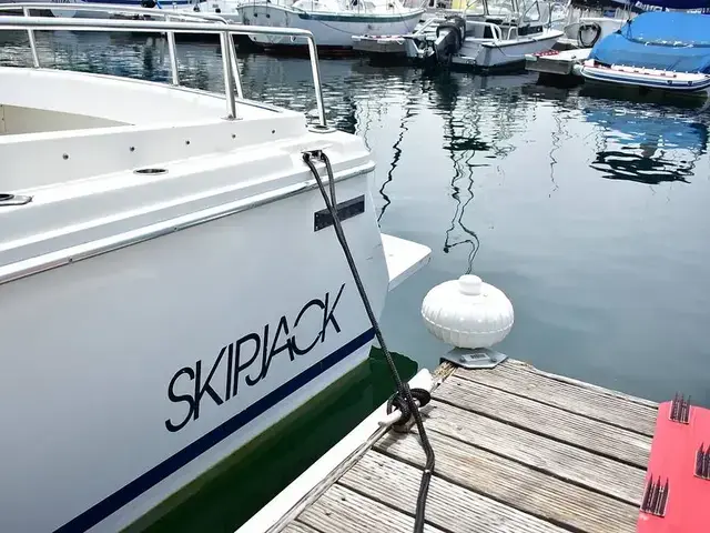 Skipjack Boats Flybridge 262