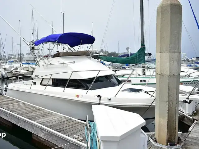 Skipjack Boats Flybridge 262